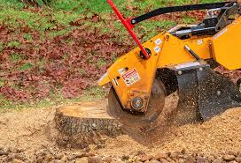 Professional Tree Services in Douglas, GA